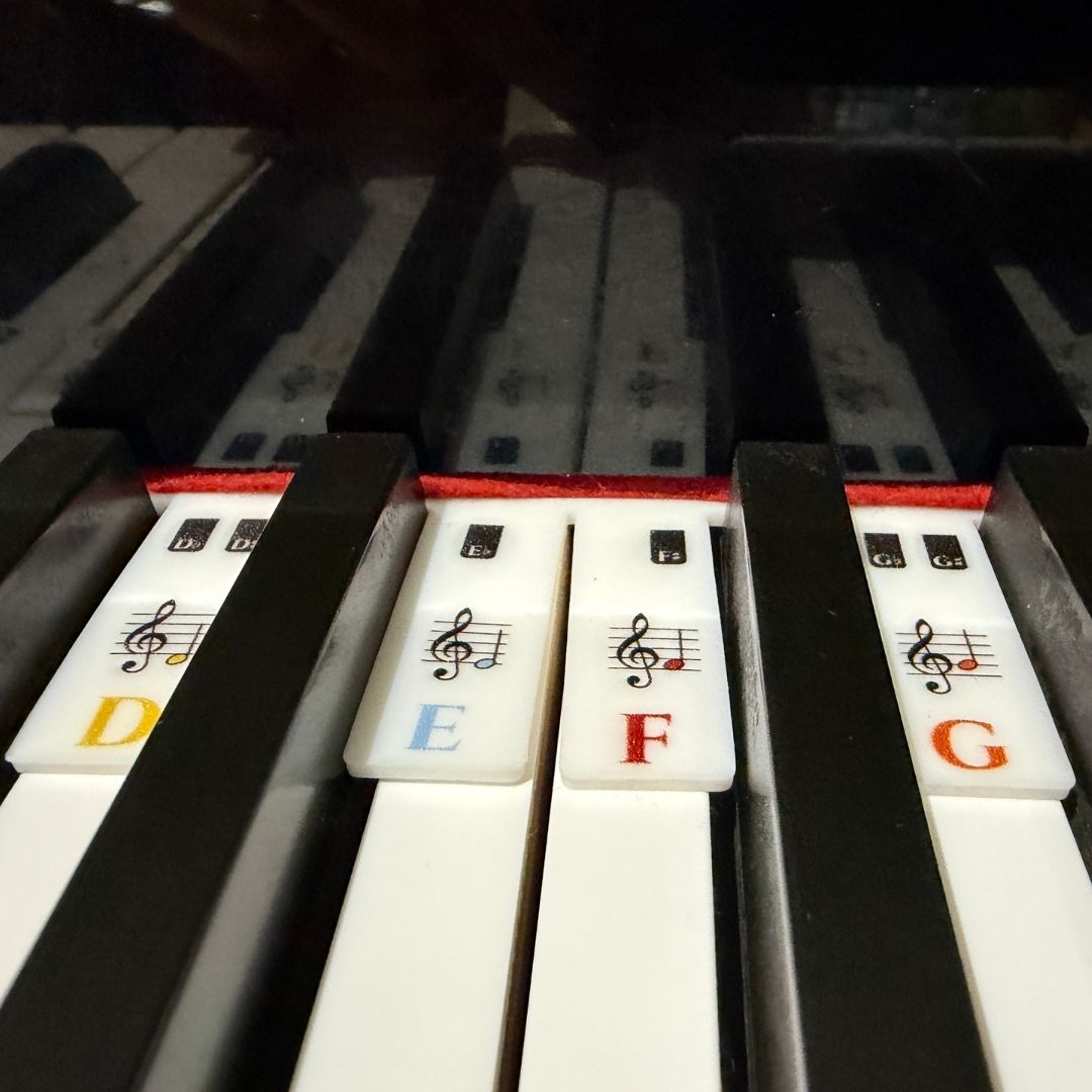 Close-up of a piano keyboard with four white key covers labeled D, E, F, and G, each printed with a musical note symbol and colored letter.